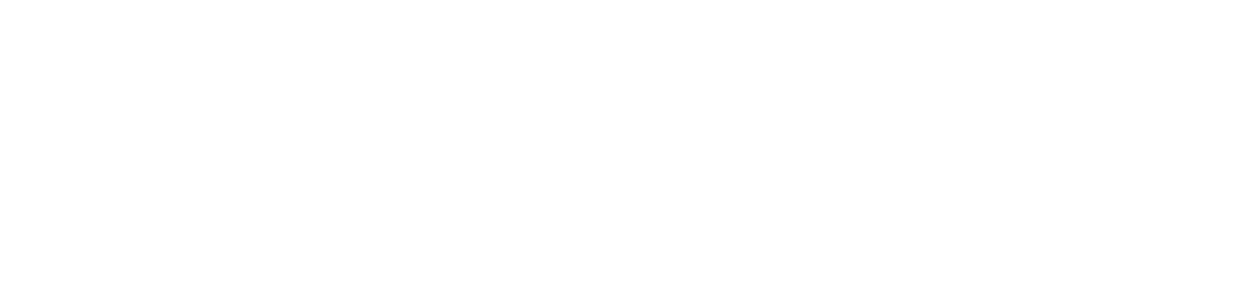 Pascal Capital Partner logo